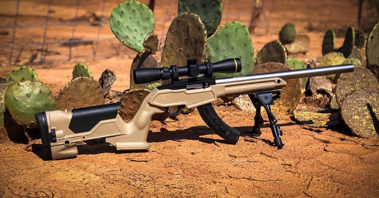 7 Best Rimfire Scopes For 22LR (Complete List)