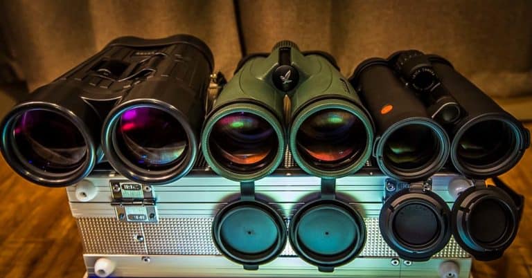 Best Image Stabilized Binoculars (Complete List)