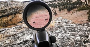 Adjust A Riflescope