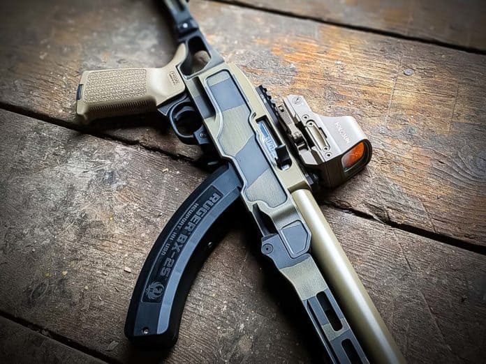 7 Best Ruger 10/22 Triggers - First World Crusader