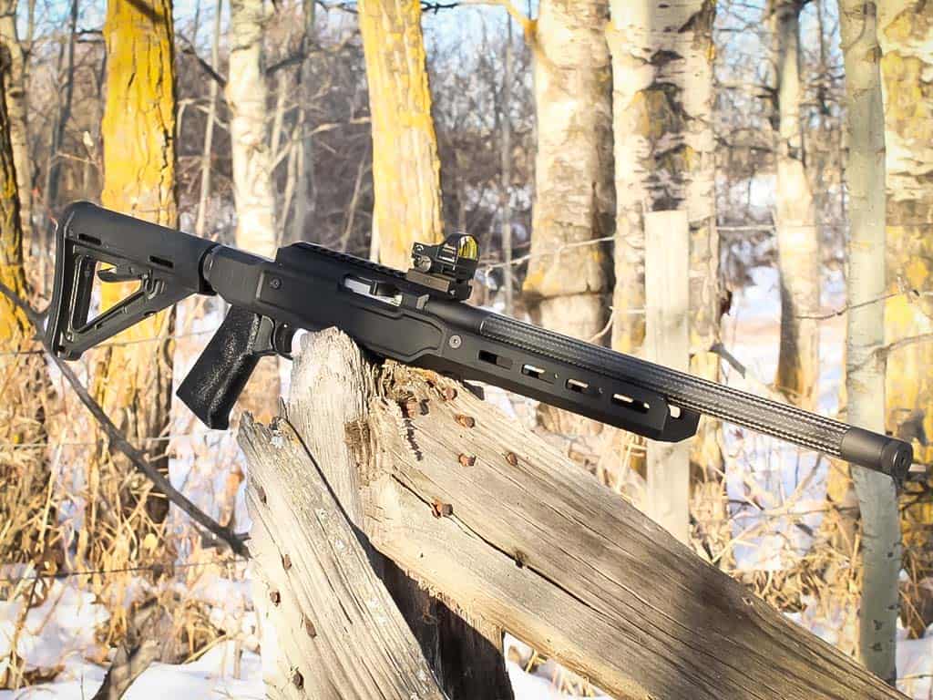 7 Best Ruger 10/22 Triggers - First World Crusader